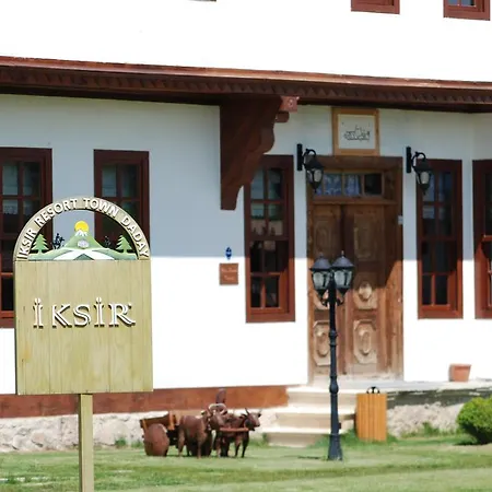 Hotel Iksir Town Daday